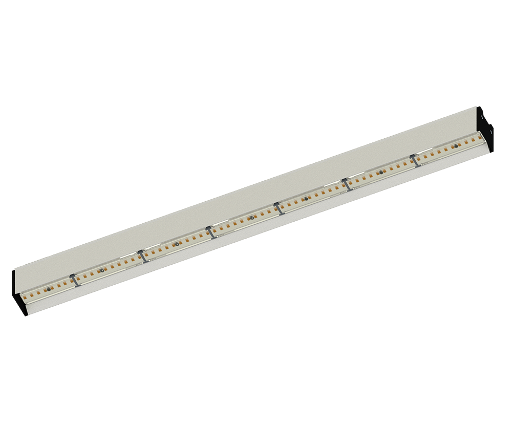 NoLimit Lichtsystem